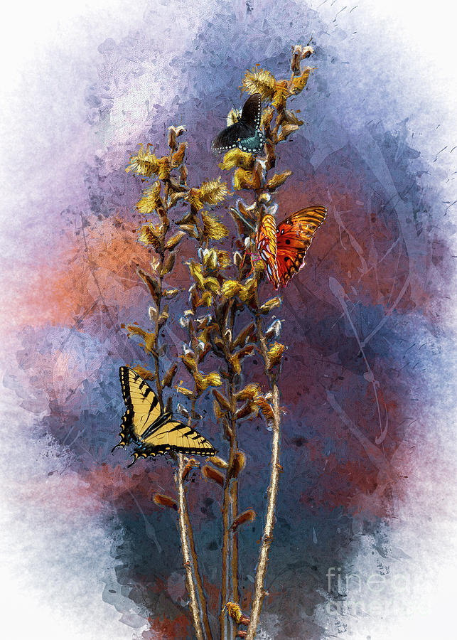 Three Butterflies Digital Art by Anthony Ellis