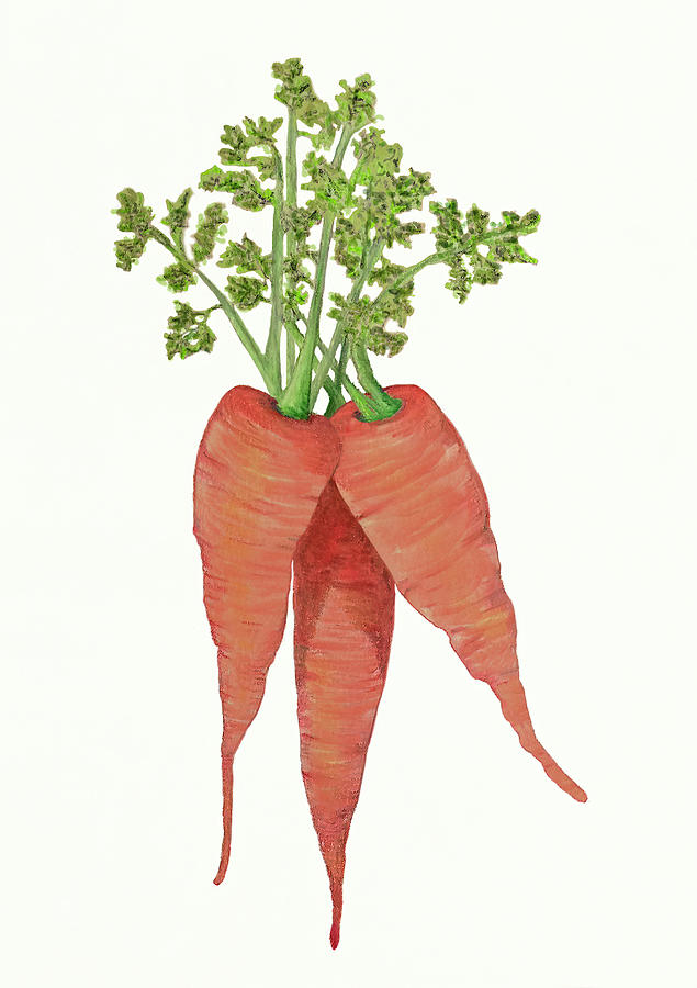 Three Carrots with Green Fronds Mixed Media by Deborah League