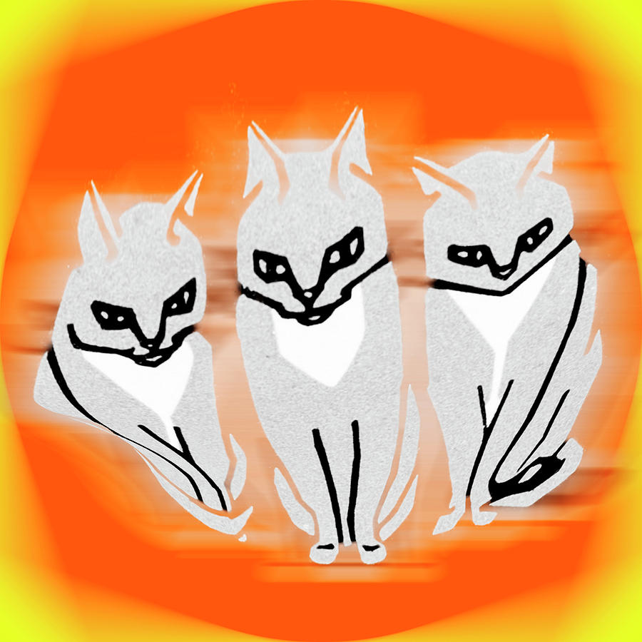 Three Cats Abstract Orange Photograph by Bob Pardue