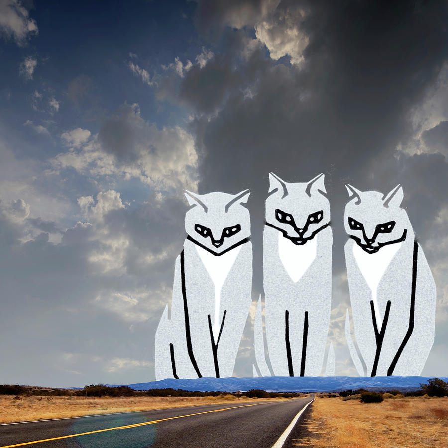 Three Cats on a Long Highway Mixed Media by Bob Pardue