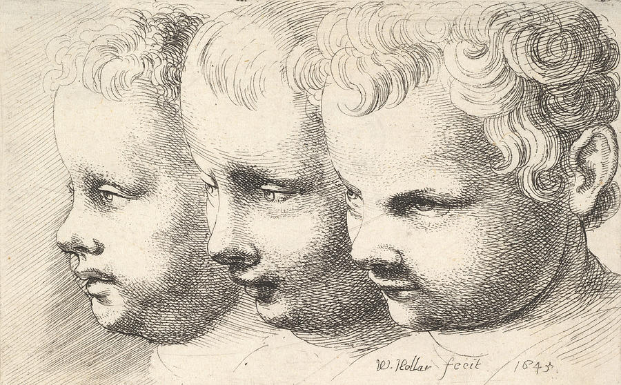 Three Childrens Heads Painting by Wenceslaus Hollar