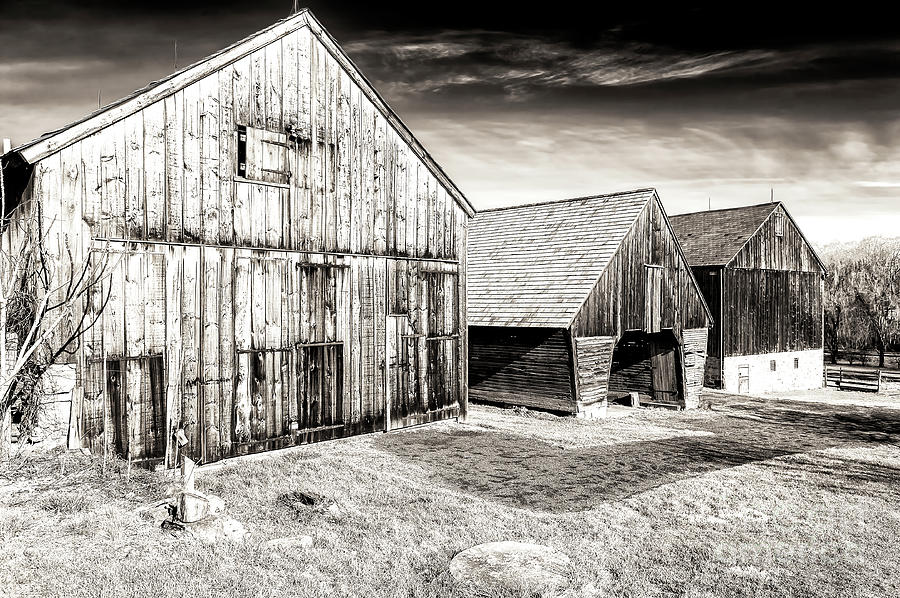 Three Country Barns in a Row at Bethlehem Pennsylvania Photograph by John Rizzuto