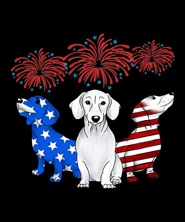 Three Dachshunds American Flag Color 4Th Of July Digital Art by Fancy ...