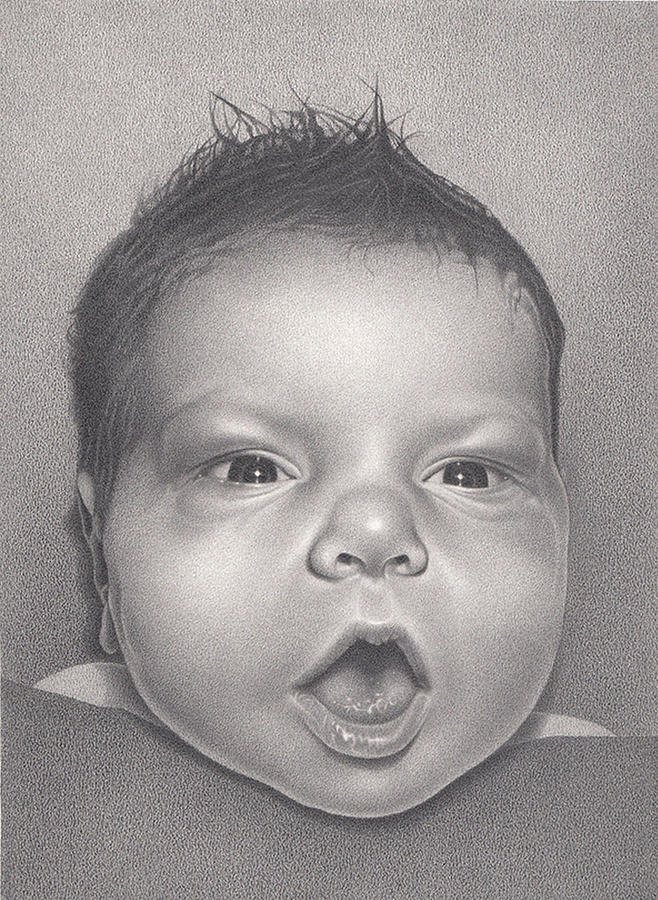 Three Days Old Drawing by Donna Basile