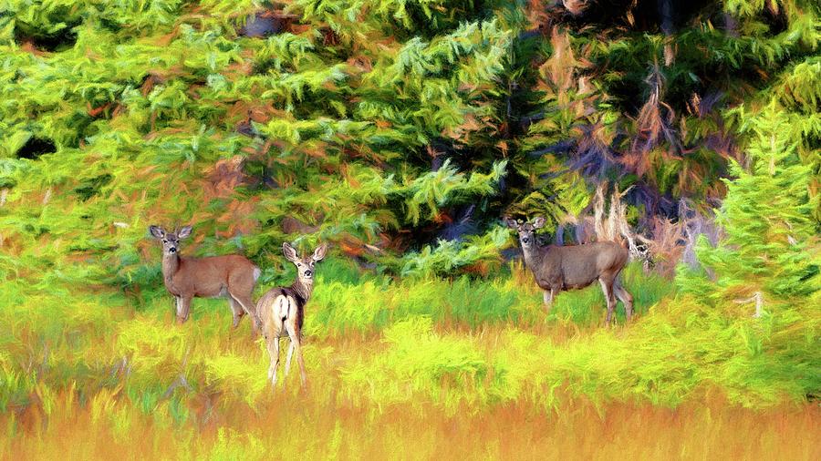 Three Deer Digital Painting Photograph by John A Rodriguez