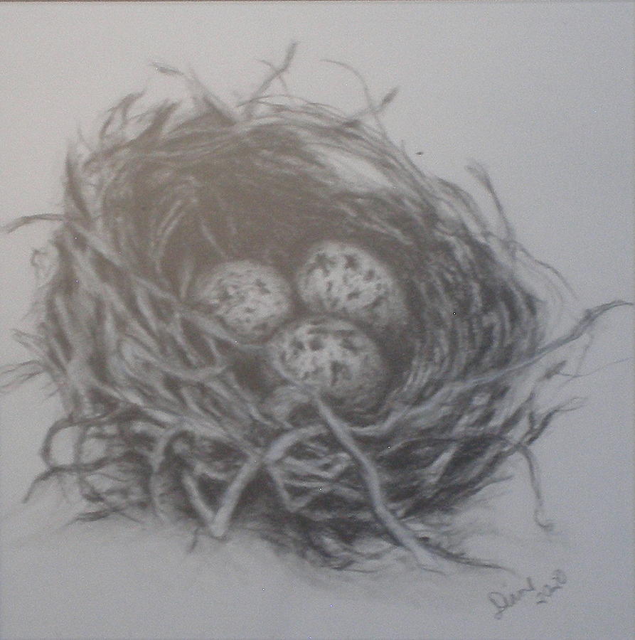 Three Eggs Drawing by Diane  DiMaria