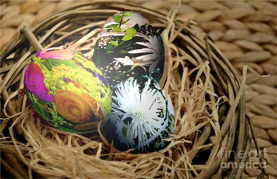 Three Eggs in a Nest Digital Art by Charles Robinson