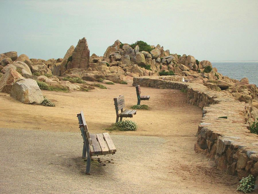 Three empty benches overlooking the Pacific Ocean Photograph by Daniela Duncan