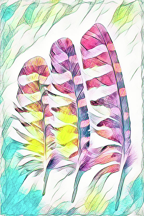 Three Feathers of the Owl Photograph by Kathi Mirto Three Feathers of the Owl Photograph by Kathi Mirto