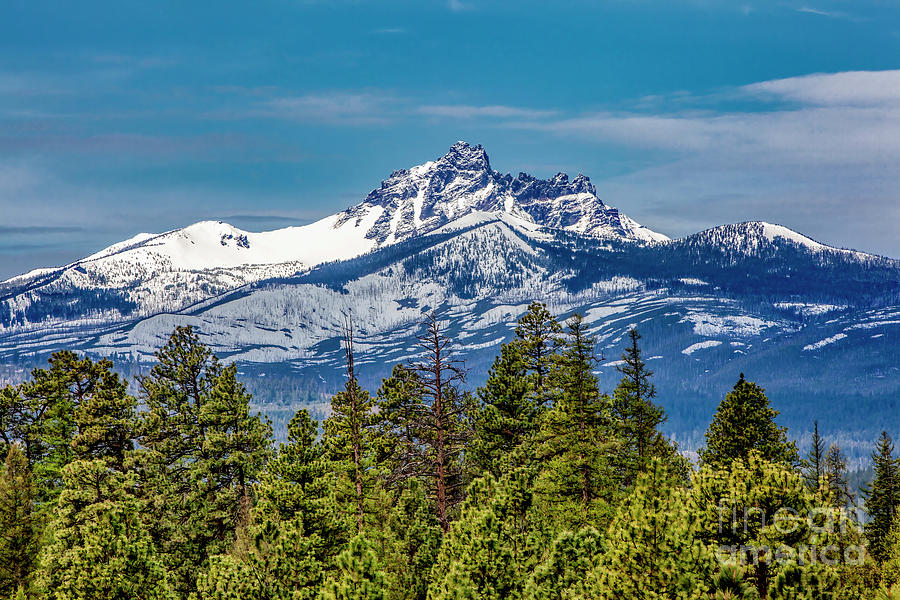 Three Fingered Jack Mountain Oregon Photograph by David Millenheft