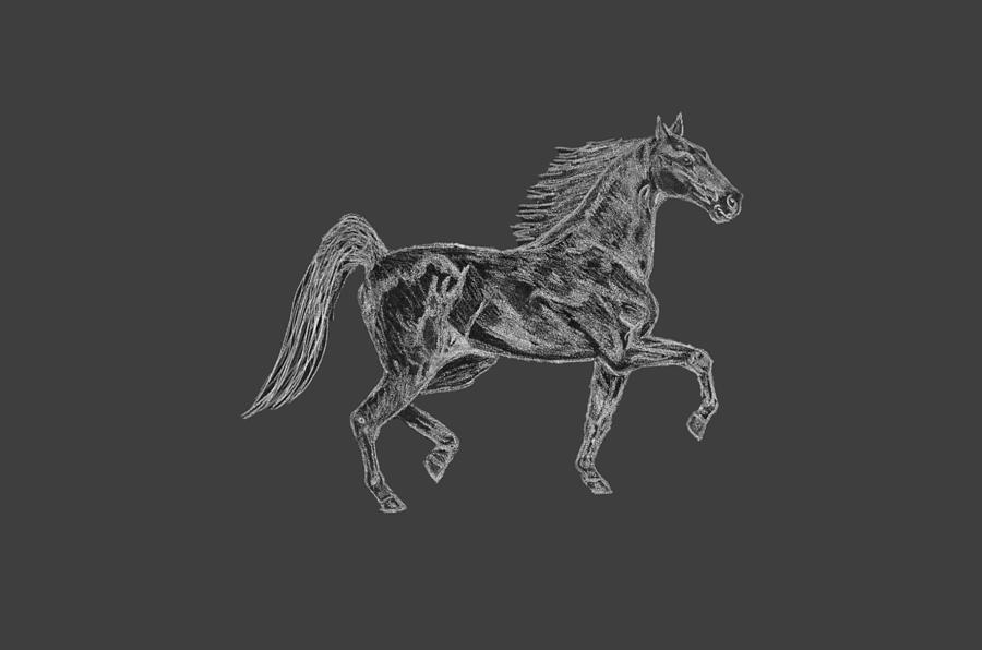 Three Gaited Saddlebred Drawing by Allison Skubal - Fine Art America