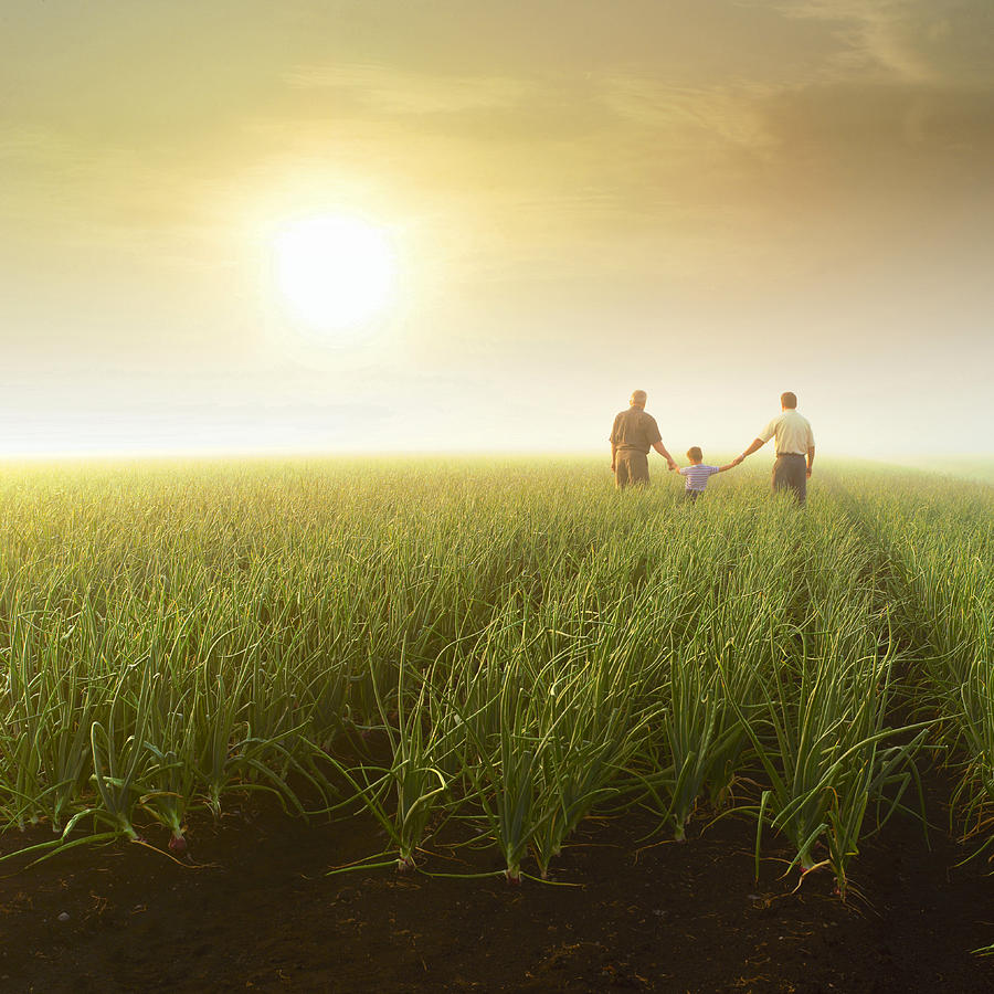 Three generations (grandfather, son, grandson) holding hands in farm field Photograph by FreezeFrameStudio