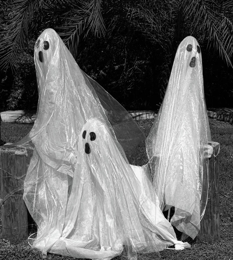 Three Ghosts Photograph by Robert Wilder Jr