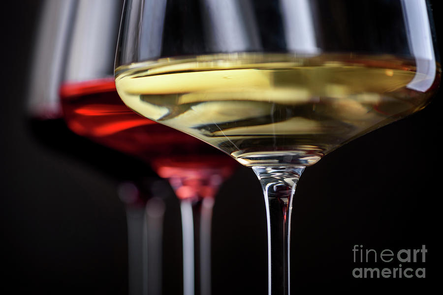 Three glass of red, rose and white wine over black background. W Photograph by Jelena Jovanovic