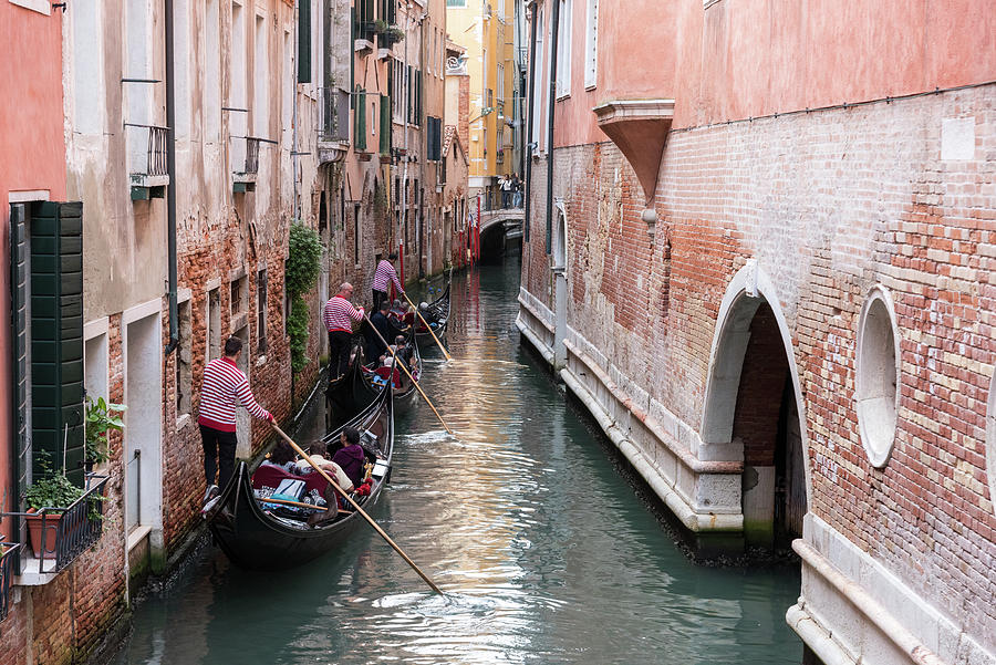 Three Gondoliers, Venice, Italy Photograph by Sarah Howard