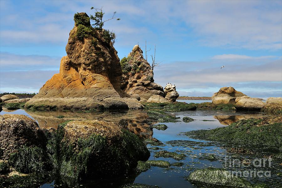 Three Graces Tidepools Photograph by Sheila Ping