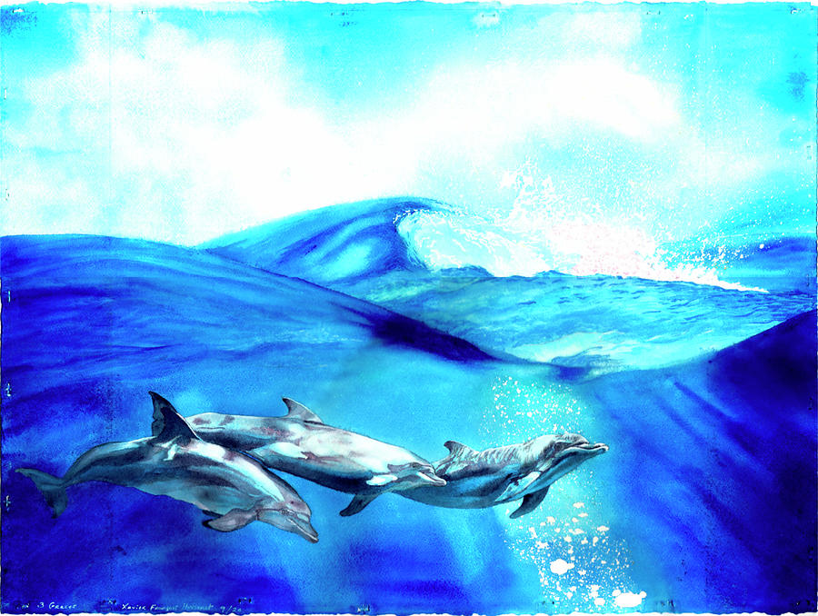 Dolphins Painting - Three Graces by Xavier Francois Hussenet Dolphins Painting - Three Graces by Xavier Francois Hussenet