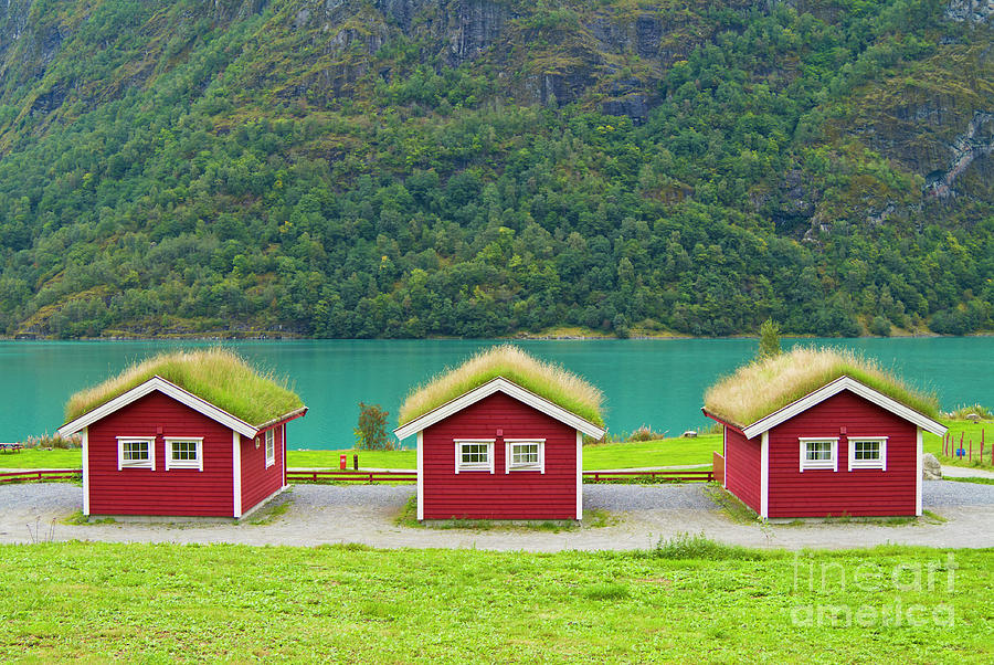 HAIRY HUTS - Three Grass roofed holiday chalets at Gryti Oldevatnet, Fjordland, Norway Photograph by Neale And Judith Clark