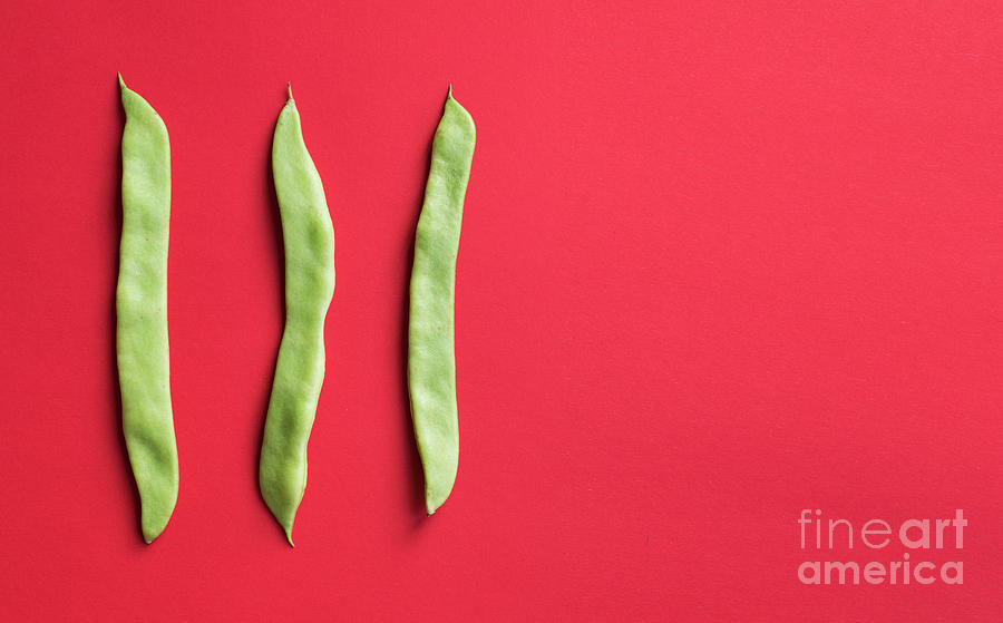 Three Green Beans Photograph by Juli Scalzi