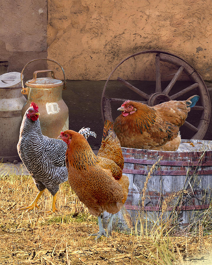 Three Hens Digital Art by M Spadecaller