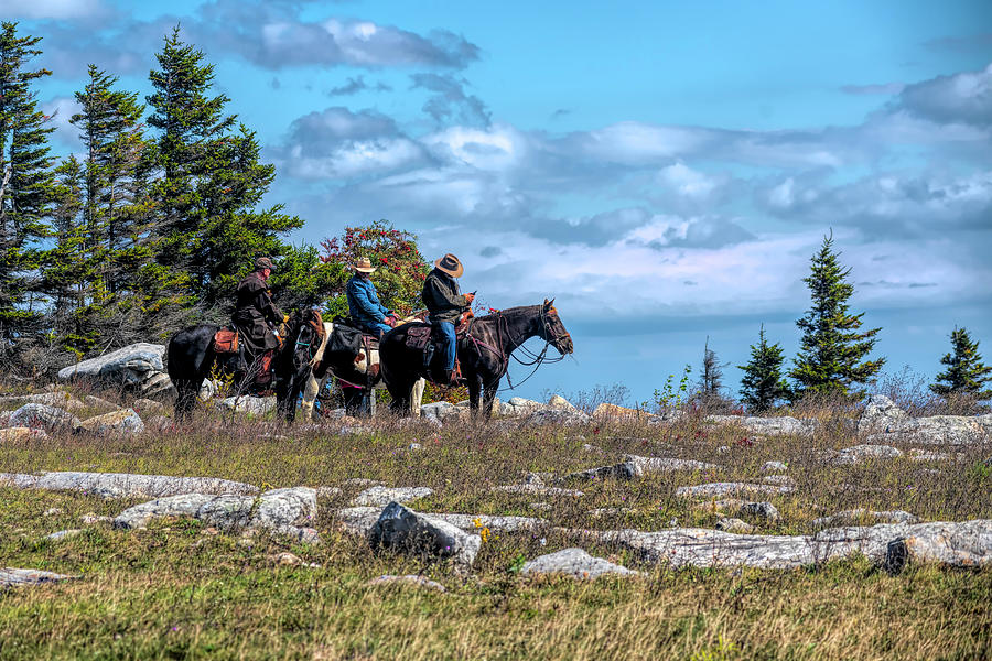 Three horse rides at Dolly Sods Photograph by Dan Friend