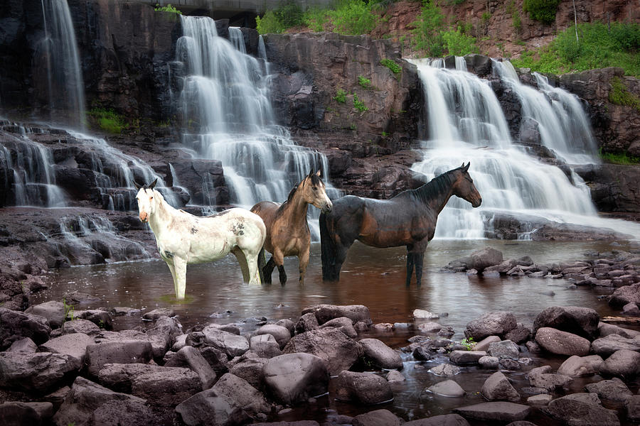 Three Horses at the Waterhole with Waterfalls Photograph by Randall Nyhof