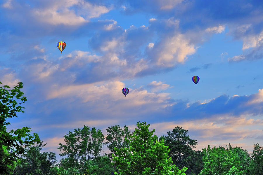 Three hot air balloons over trees Photograph by Darryl Brooks
