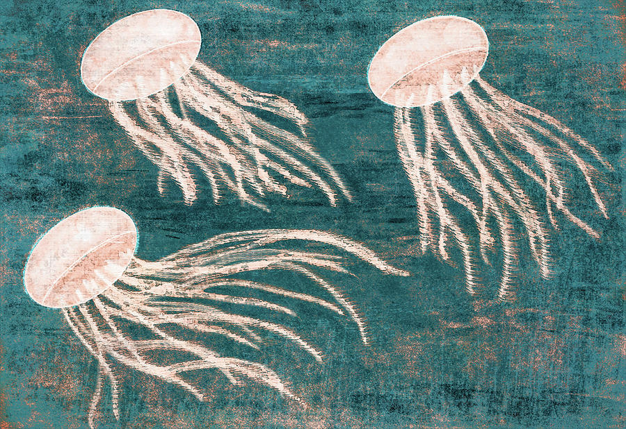 Three Jellyfish in Grunge Digital Art by Leslie Montgomery