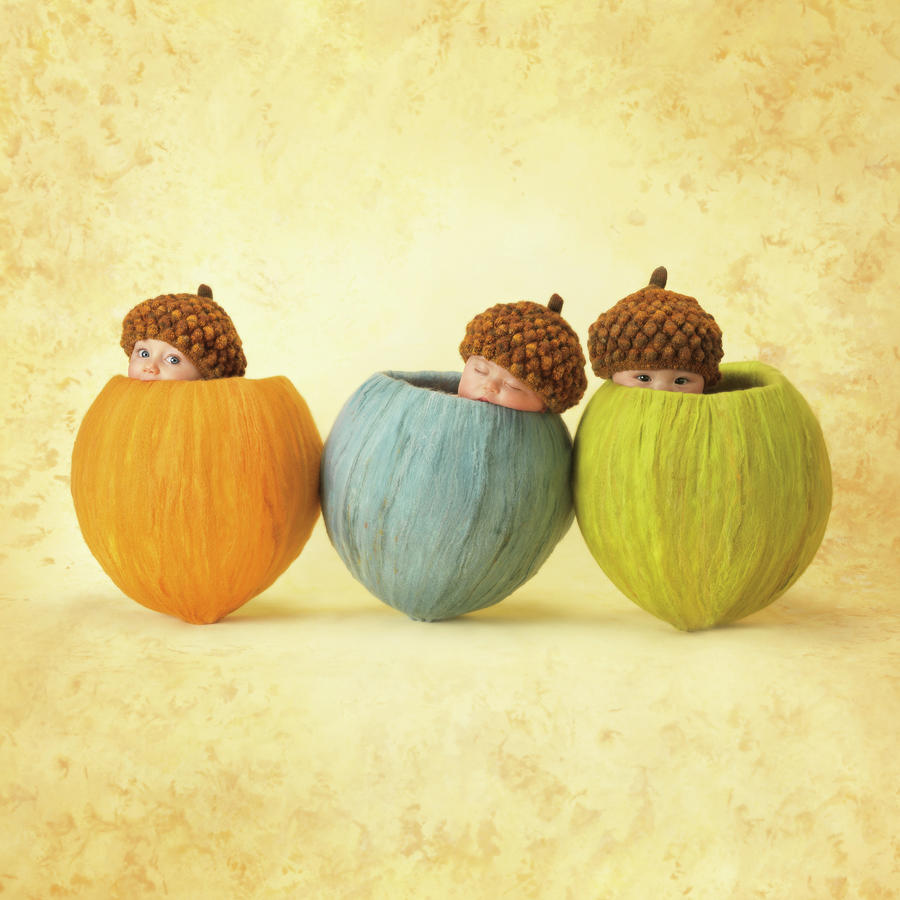 Fall Photograph - Three Little Acorns by Anne Geddes