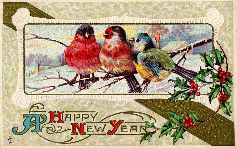 Three Little Birds - Happy New Year Photograph by Kristia Adams