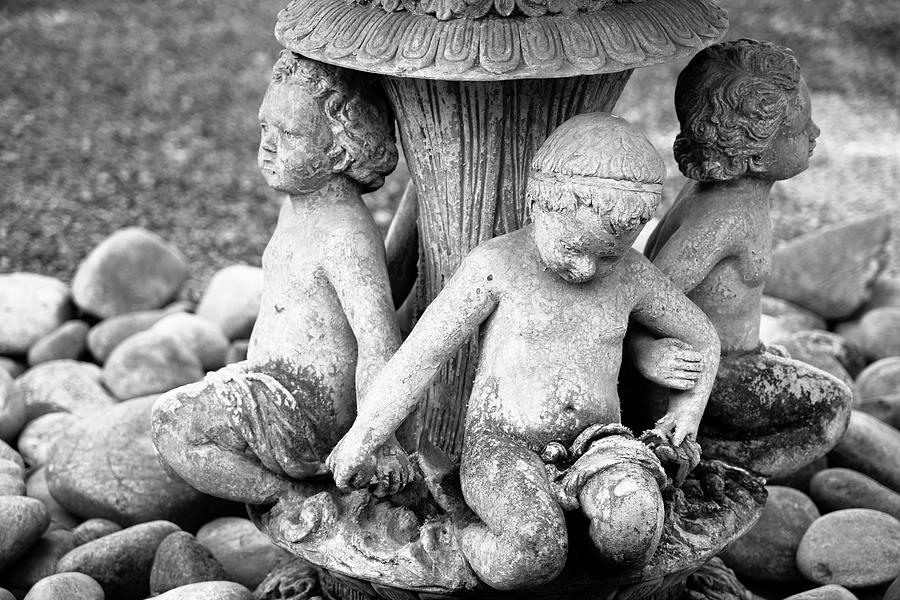Three Little Boys Caught in Stone Photograph by Mary Lee Dereske