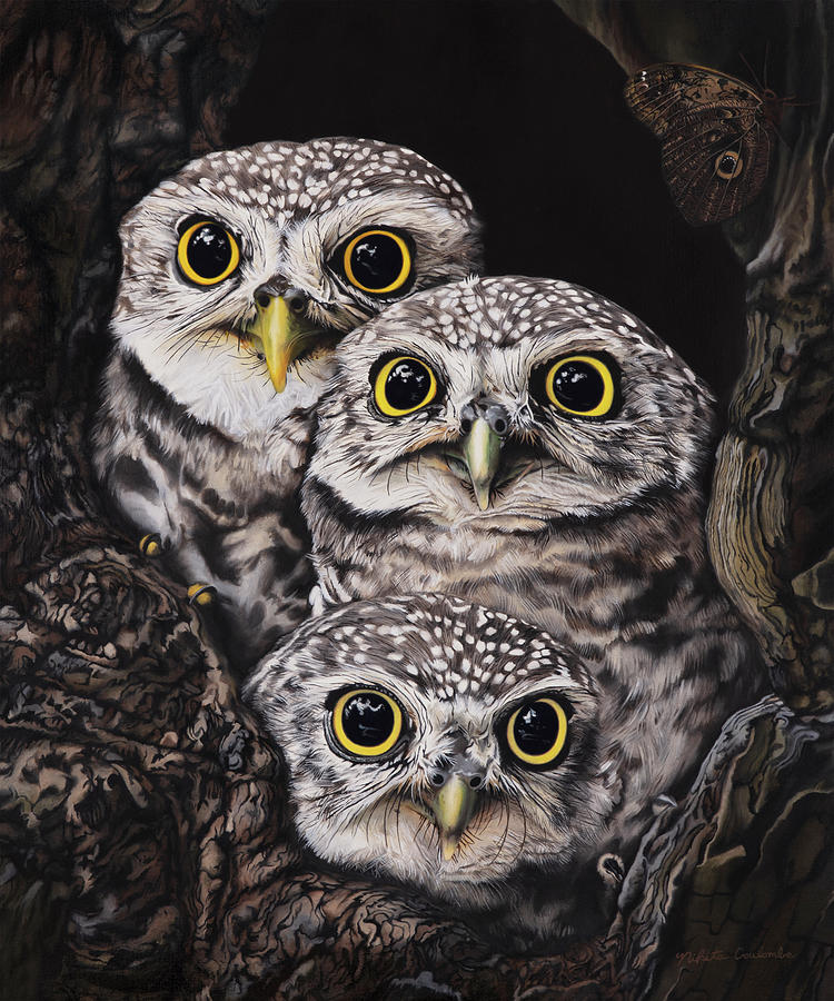 Three Little Owls Painting