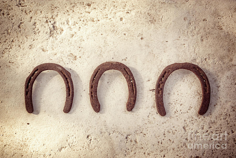 Three lucky horseshoes Photograph by Delphimages Photo Creations