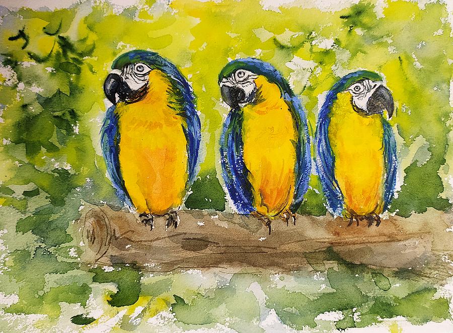 Three Macaws Painting by Asha Sudhaker Shenoy