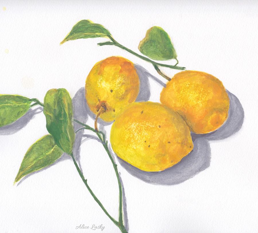 Meyer Lemons Painting - Three Meyer Lemons by Alice Lasky