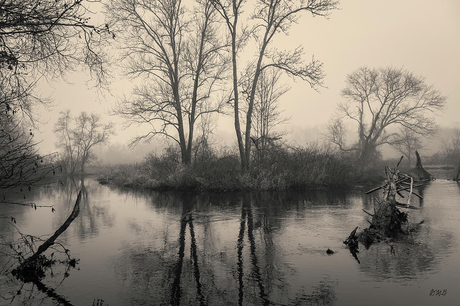 Three Mile River X Toned Photograph by David Gordon
