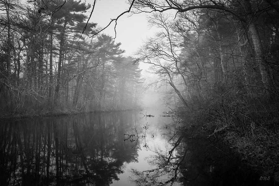 Three Mile River XII BW Photograph by David Gordon