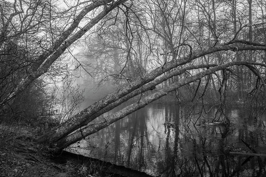Three Mile River XV BW Photograph by David Gordon