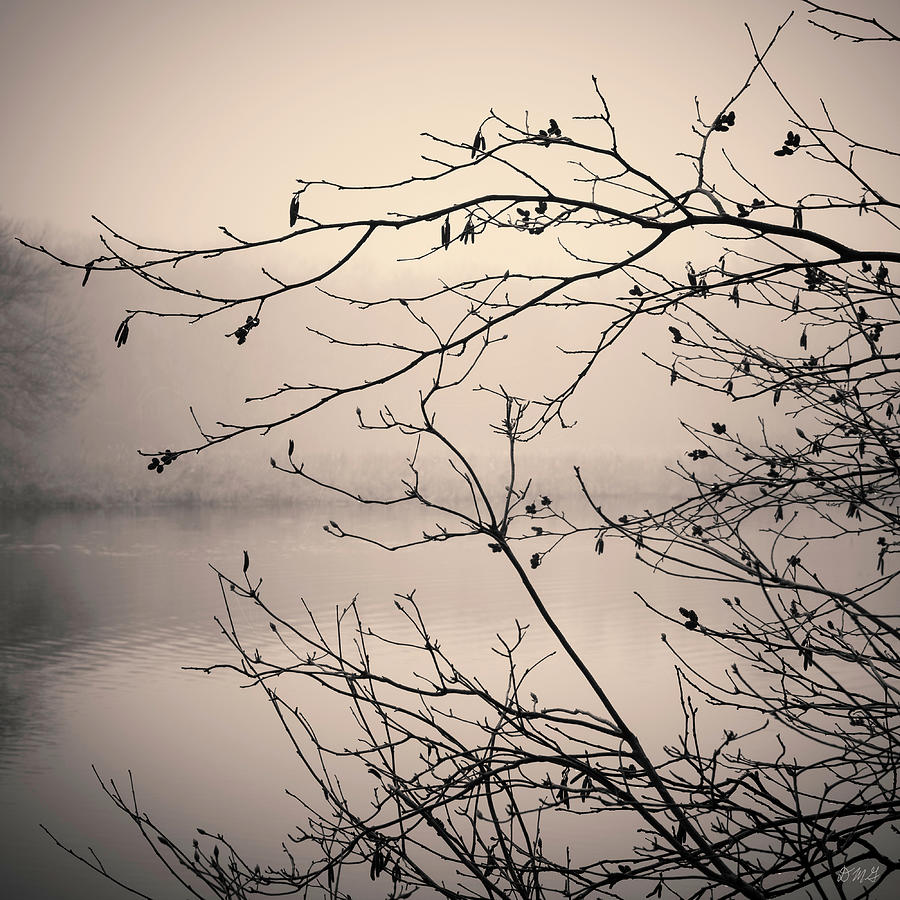 Black And White Photograph - Three Mile River XVII Toned by David Gordon