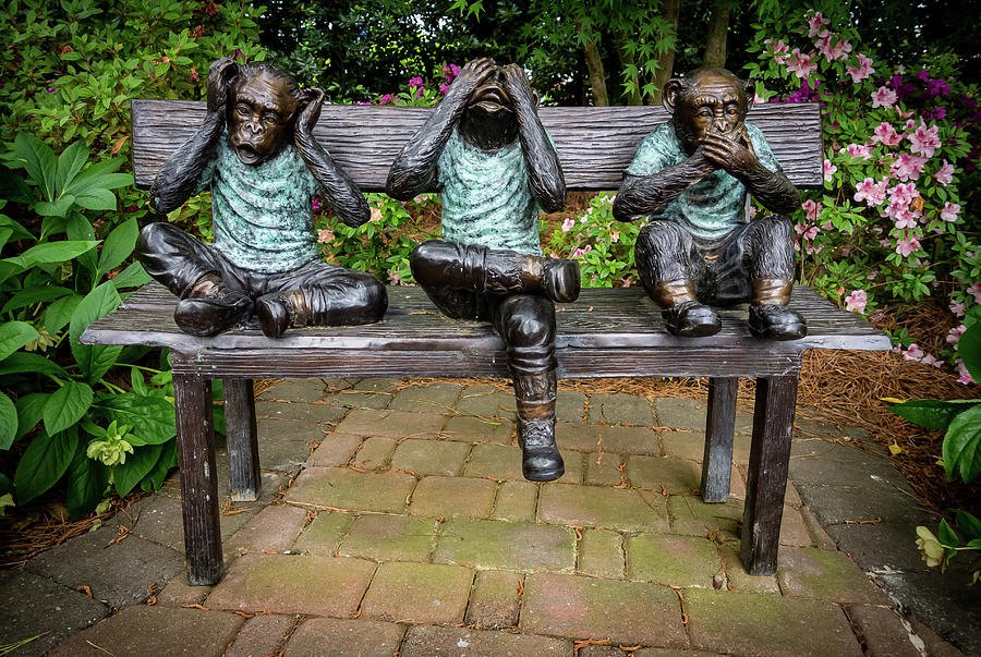 Three Monkeys Photograph by Rick Nelson