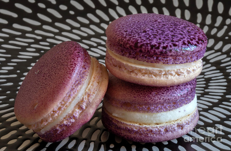 Cookie Photograph - Three More Lavender Macarons by Elisabeth Lucas