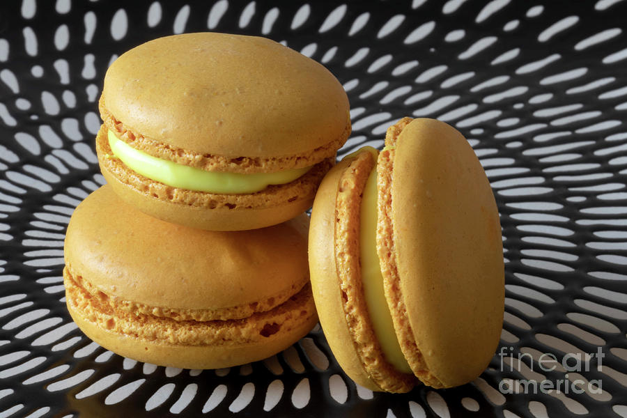 Black And White Photograph - Three More Mango Macarons by Elisabeth Lucas