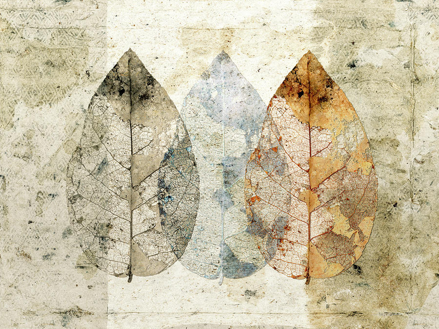 Three of a Kind Autumn Leaves Mixed Media by Carol Leigh