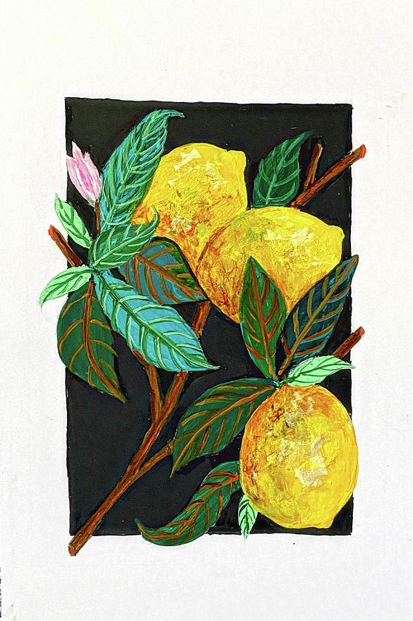 Three Oranges  Painting by Suzzanna Frank