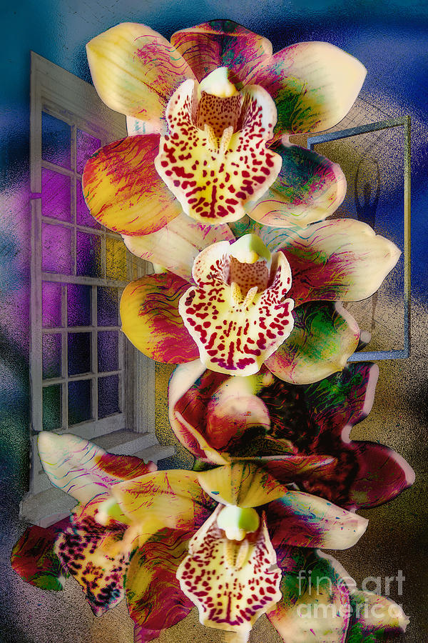 Three Orchids Digital Art by Anthony Ellis