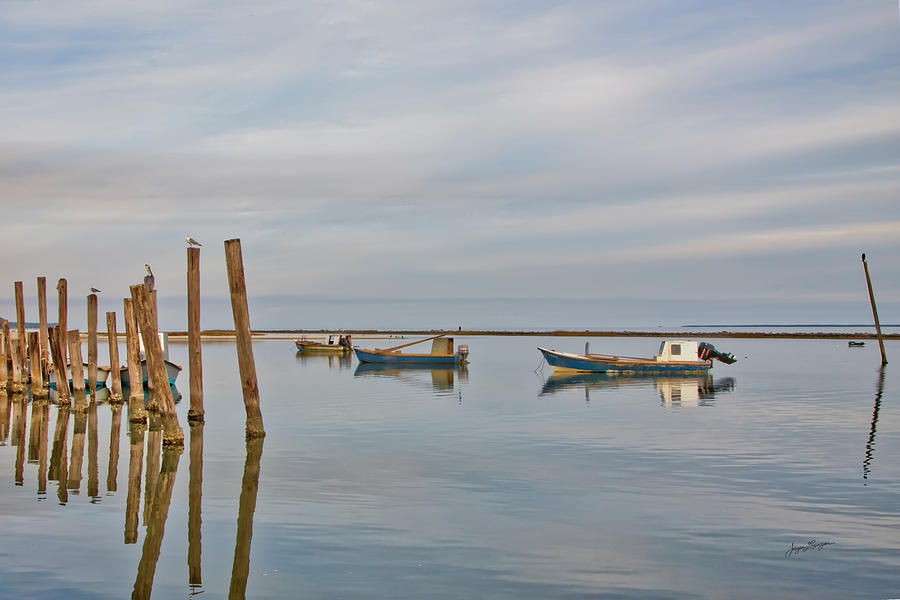 Three Oyster Boats Photograph by Jurgen Lorenzen