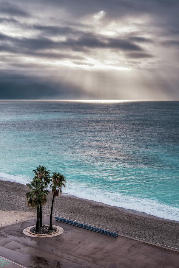 Three palm trees on Promenade des Anglais in Nice Photograph by Jon Ingall