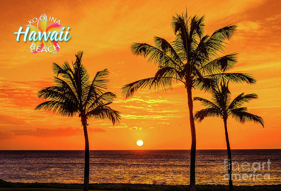 Three Palms Golden Sunset in Hawaii Post Card Photograph by Aloha Art