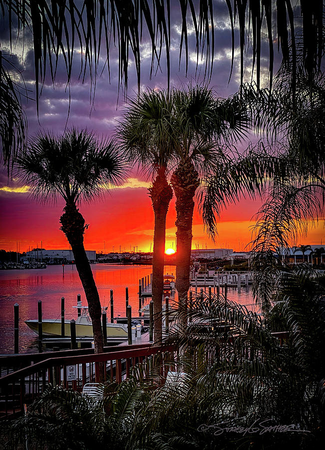 Three Palms River Sunrise Photograph by Stacey Sather