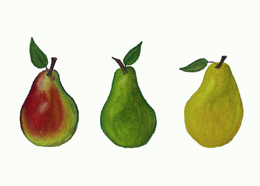 Three Pears In A Row Drawing by Deborah League